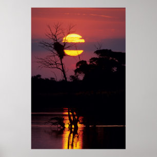 Póster Rio Sabi ao Pôr-do-Sol, Parque Nacional Kruger
