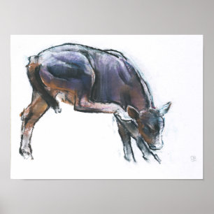 Poster Riscando a vitela 2006