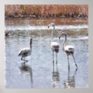 Poster Riscar Uma Pose Flamingo Watercolor