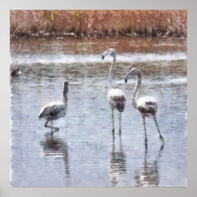 Poster Riscar Uma Pose Flamingo Watercolor (Frente)