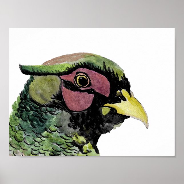 Poster Ritratto di Fagiano (Frente)