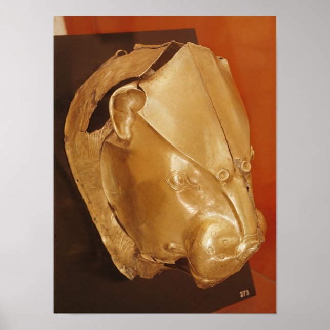 Poster Ritton da cabeça do Leão (Frente)