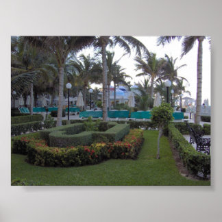 Póster Riu Garden
