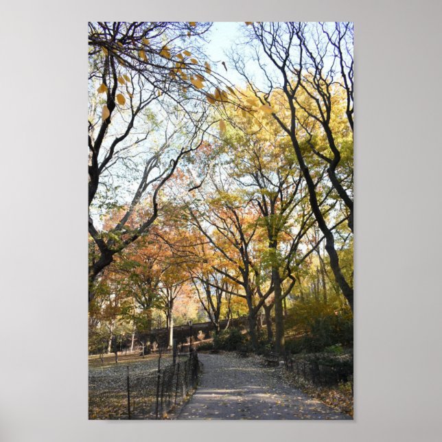 Poster Riverside Park Fall Foliage Nova Iorque Autumn NYC (Frente)