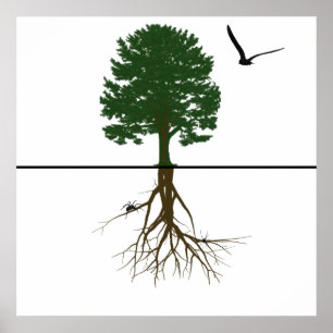 Poster Riyah-Li projeta raizes