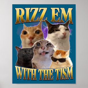 Poster Rizz Em Com O Tism Vintage Retro 90s Gato Engraçad