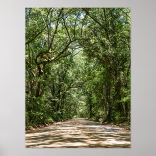 Poster Road To Angel Oak