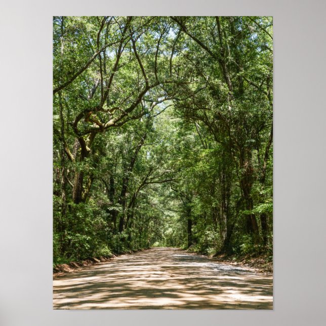 Poster Road To Angel Oak (Frente)