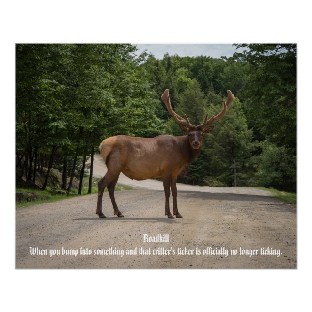 Póster Roadkill (Frente)