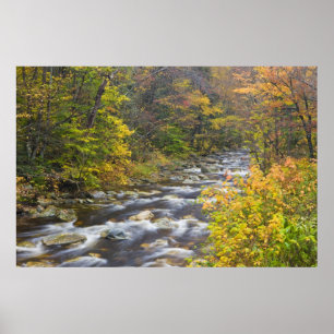 Poster Roaring Brook no outono no Green Vermont