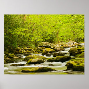Poster Roaring Fork na Primavera
