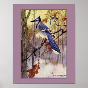 Poster Robert Bruce Horsfall Blue Jay Faux Matte