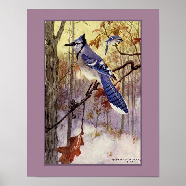 Poster Robert Bruce Horsfall Blue Jay Faux Matte (Frente)