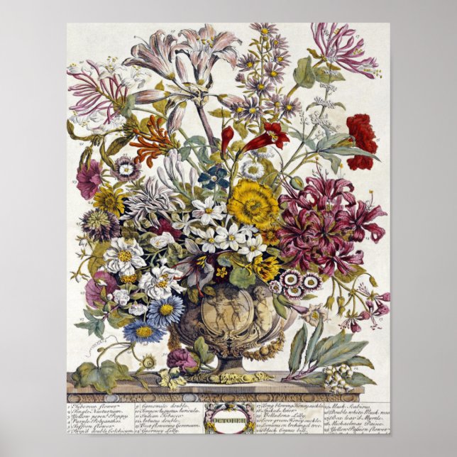 Poster Robert Furber - Outubro - Doze Meses (Frente)