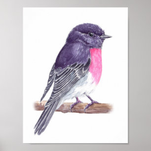 Póster Robin