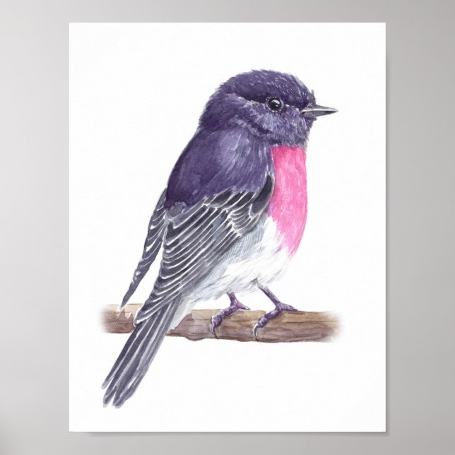 Póster Robin (Frente)