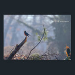 Poster Robin<br><div class="desc">Robin on a broken branch</div>