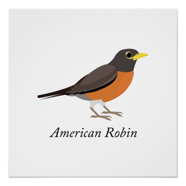 Póster Robin Americano (Frente)