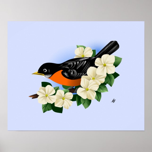 Poster Robin Bird (Frente)