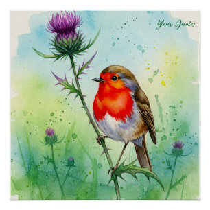 Póster Robin Bird e Flor de Cardo Aquarela Botânica