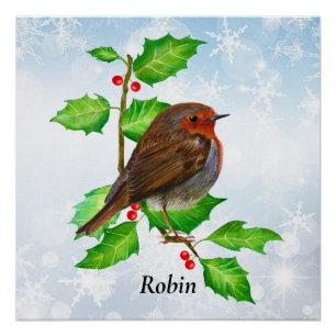 Póster Robin Bird na pintura Holly Watercolor