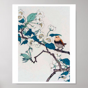 Poster Robin e Cherry Blossoms, Imao Keinen