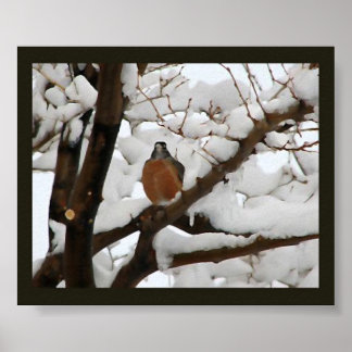 Poster Robin em preto