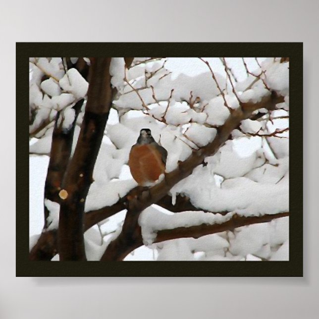 Poster Robin em preto (Frente)