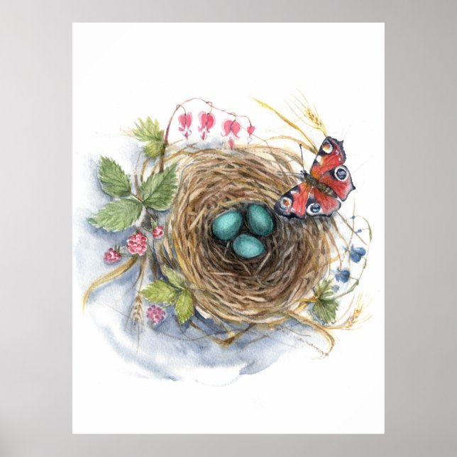 Poster Robin Nest (Frente)