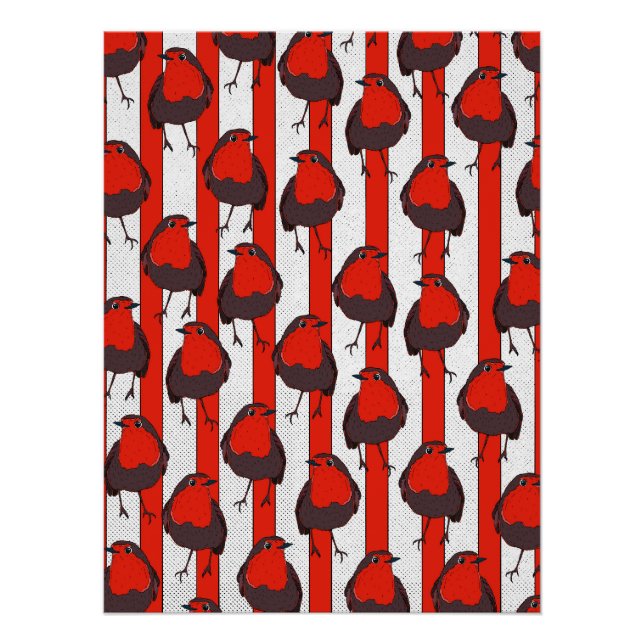 Póster Robin Pattern (Frente)