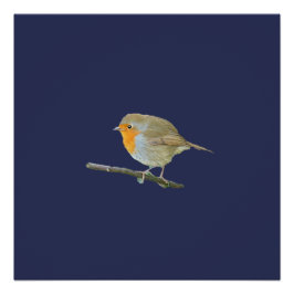Póster Robin Redbreast Poster
