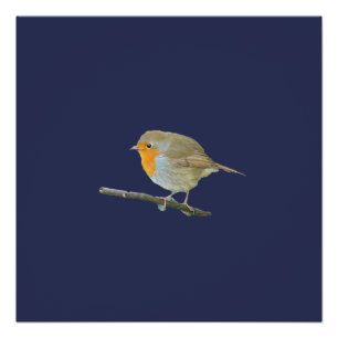 Póster Robin Redbreast Poster