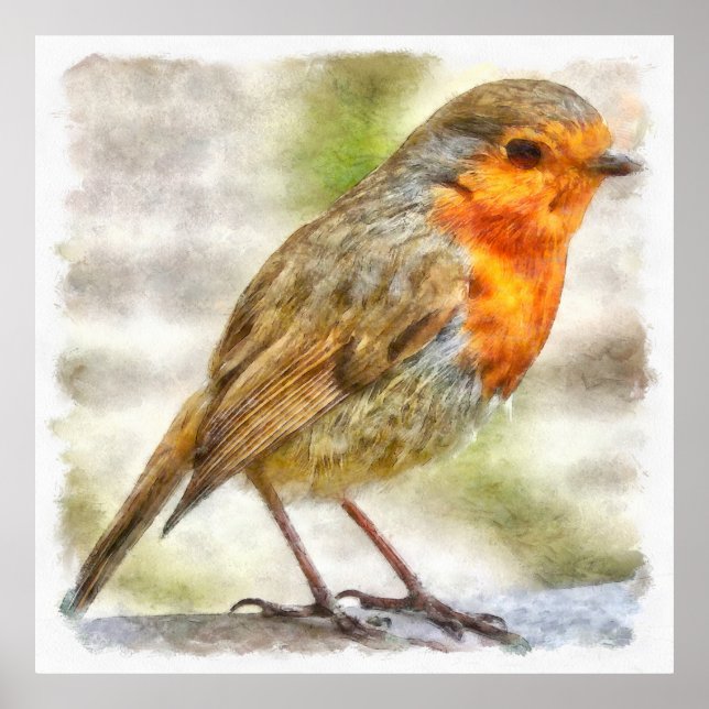 Poster Robin Winter Watercolor (Frente)