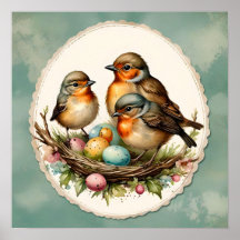 Robins de Primavera de Woodland Baby. Primavera. P