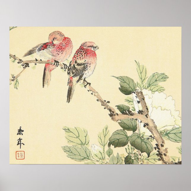 Poster Robins e Peony japanese, arte das aves de flor da  (Frente)