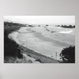 Póster Rocha do selo - Duotone