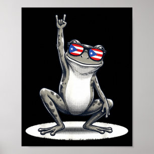 Poster rocha música retro coqui sapo porto rico bandeira