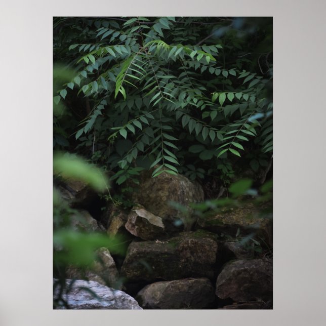 Poster Rochas e Greenery (Frente)