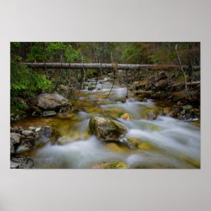 Poster rochoso da angra da floresta