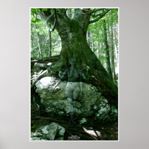 Póster Rock and Tree by Johannes Stötter