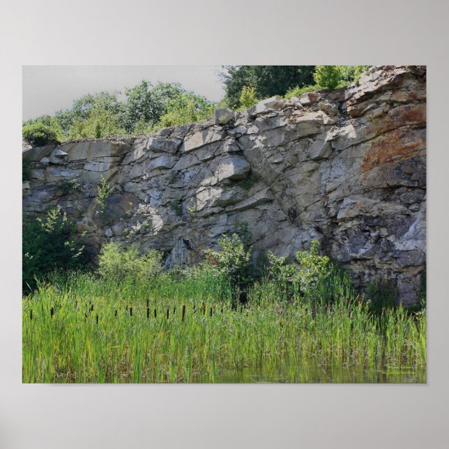 Póster Rock Cliff Wall Cattails Pond Nature (Frente)