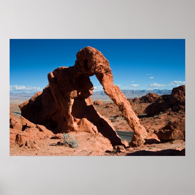 Poster Rock Elefante (Frente)