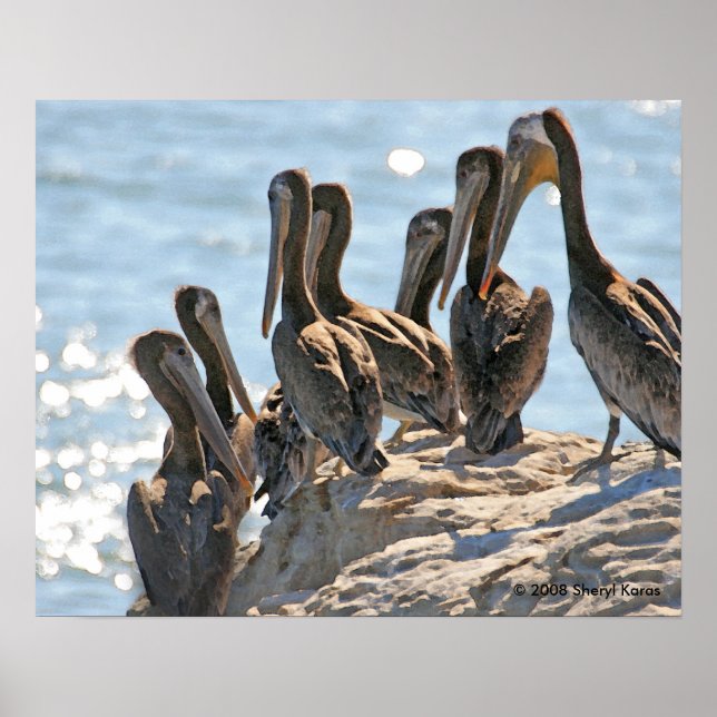 Póster Rock Pelicano (Frente)