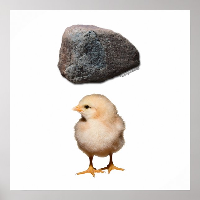 Póster Rock + Pintinho (Frente)