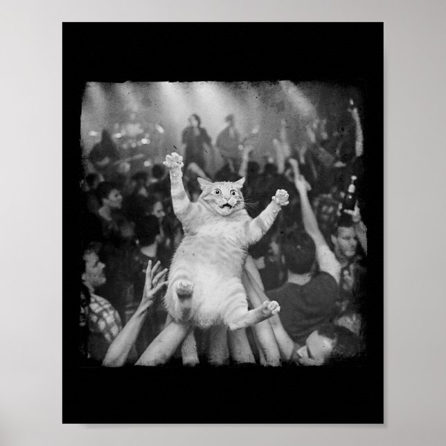 Poster Rock Show Cat Meme Funny Humor Tabby Cat Crowd Sur (Frente)