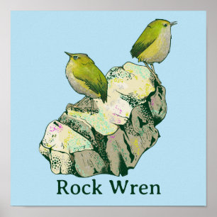 Poster Rock Wren Pássaros Nova Zelândia