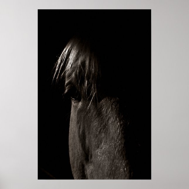 Póster Rocky (Frente)