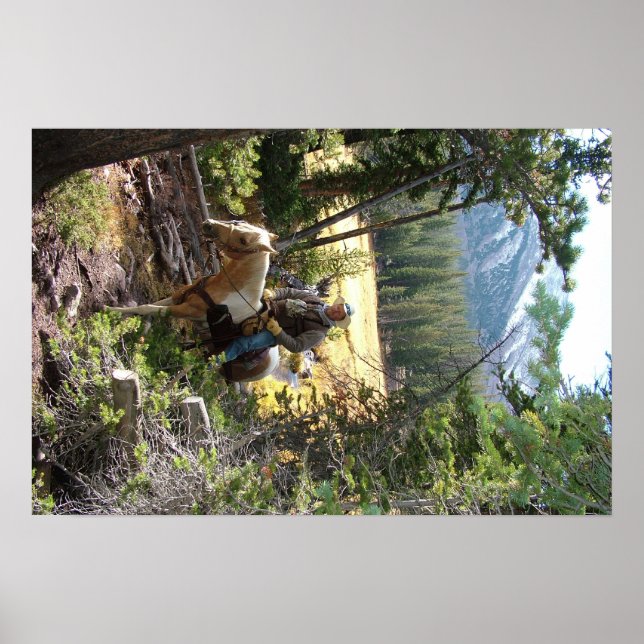 Poster Rocky Mountain Horse Ride (Frente)