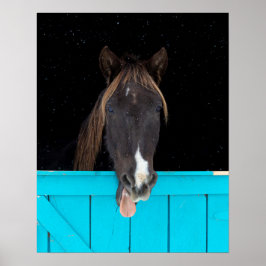 Poster Rocky Mountain Yawn