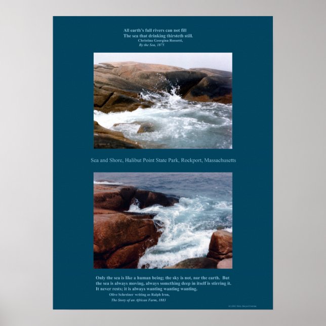 Póster Rocky Shore (Frente)